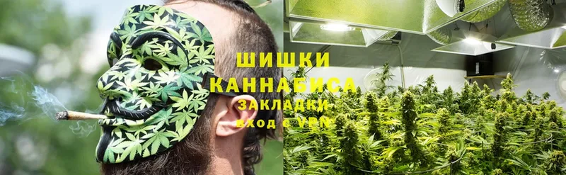 Бошки Шишки White Widow  Раменское 